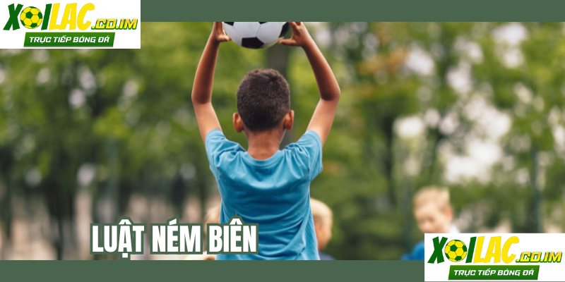 luat-nem-bien
